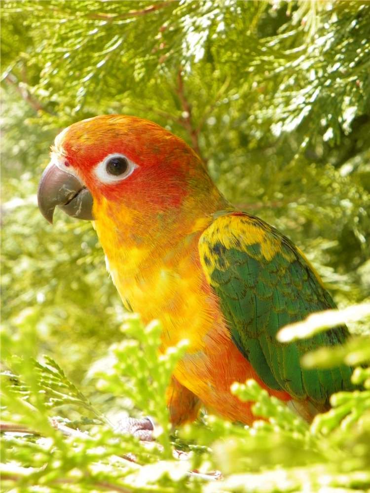 Photography Booking - Open